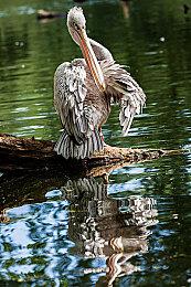 恐怖游戏《失忆症：地堡》流程时长为4-6小时